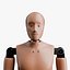 Rigged Crash Test Male and Female Dummy 3D