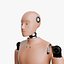 Rigged Crash Test Male and Female Dummy 3D