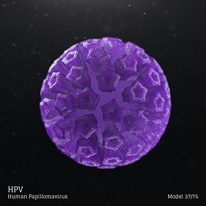 HPV - Human Papillomavirus
