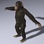 Chimp (2) (RIGGED) (FUR)