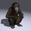 Chimp (2) (RIGGED) (FUR)