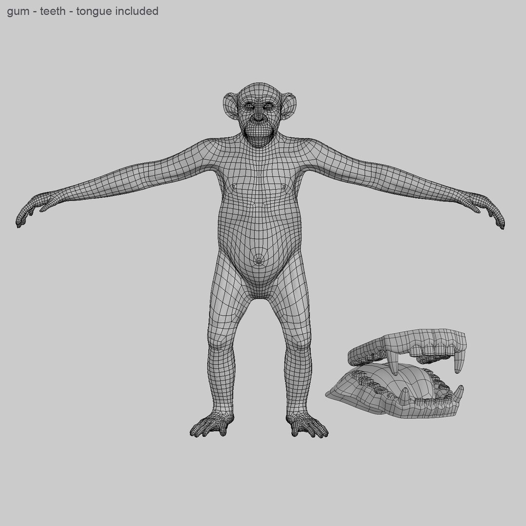 maya chimp rigged fur https://p.turbosquid.com/ts-thumb/C0/iVXLm5/K3nR1Jxm/a12/jpg/1341556714/1920x1080/fit_q87/9fa9f246b9f72897f2b2dbe703fe43f04b81c3df/a12.jpg