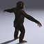 Chimp (2) (RIGGED) (FUR)