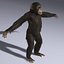Chimp (2) (RIGGED) (FUR)