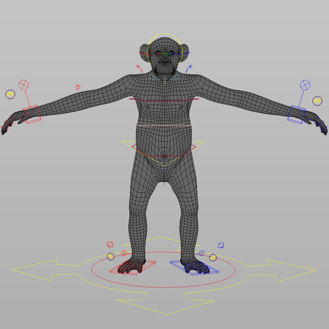 maya chimp rigged fur https://p.turbosquid.com/ts-thumb/C0/iVXLm5/tWb0eXAR/7/jpg/1341559195/1920x1080/fit_q87/021c9d9a4f7f8315df8e78474f85a3b53badc478/7.jpg