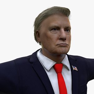 Donald Trump Realistic Character