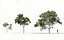 3D trees includes growfx files model