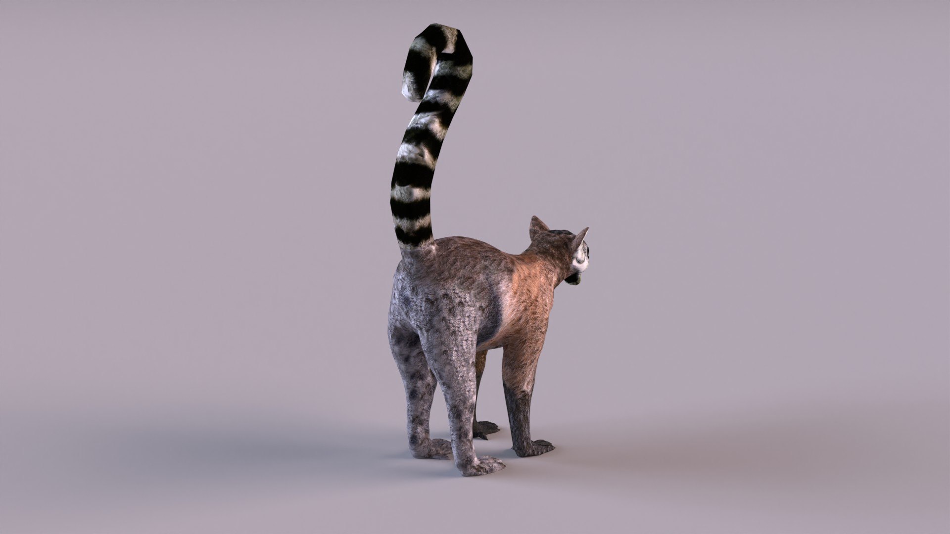 lemur monkey 3D model https://p.turbosquid.com/ts-thumb/C1/JQpLop/9H/lemur_0004/jpg/1651329788/1920x1080/fit_q87/ddf2cd59410a39e0ebee425f388f7e76e89fc3ae/lemur_0004.jpg