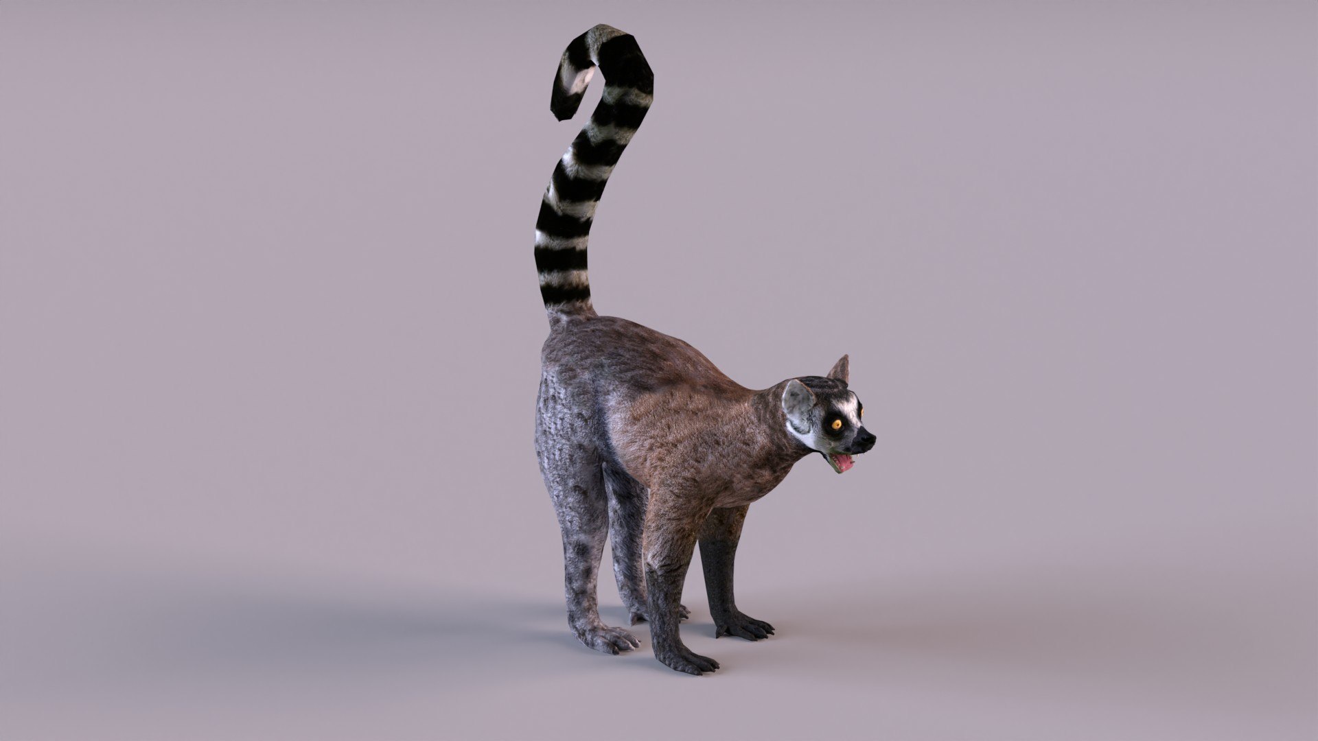 lemur monkey 3D model https://p.turbosquid.com/ts-thumb/C1/JQpLop/AB/lemur_0012/jpg/1651329791/1920x1080/fit_q87/29f507b28139e5e7804a2cdcea3b6edbb28922de/lemur_0012.jpg