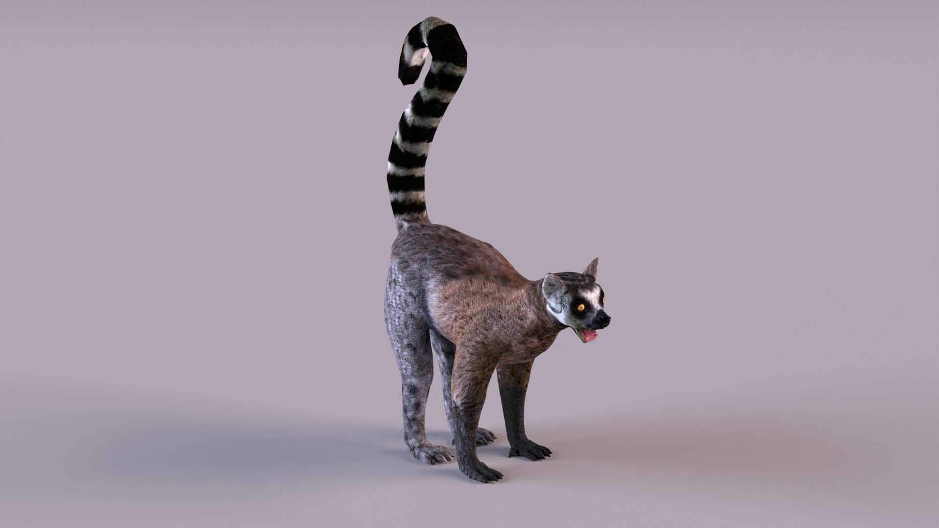lemur monkey 3D model https://p.turbosquid.com/ts-thumb/C1/JQpLop/GI/lemur_0011/jpg/1651329790/1920x1080/fit_q87/ebf429c39a837dd675835fa5e25393e21e320a66/lemur_0011.jpg