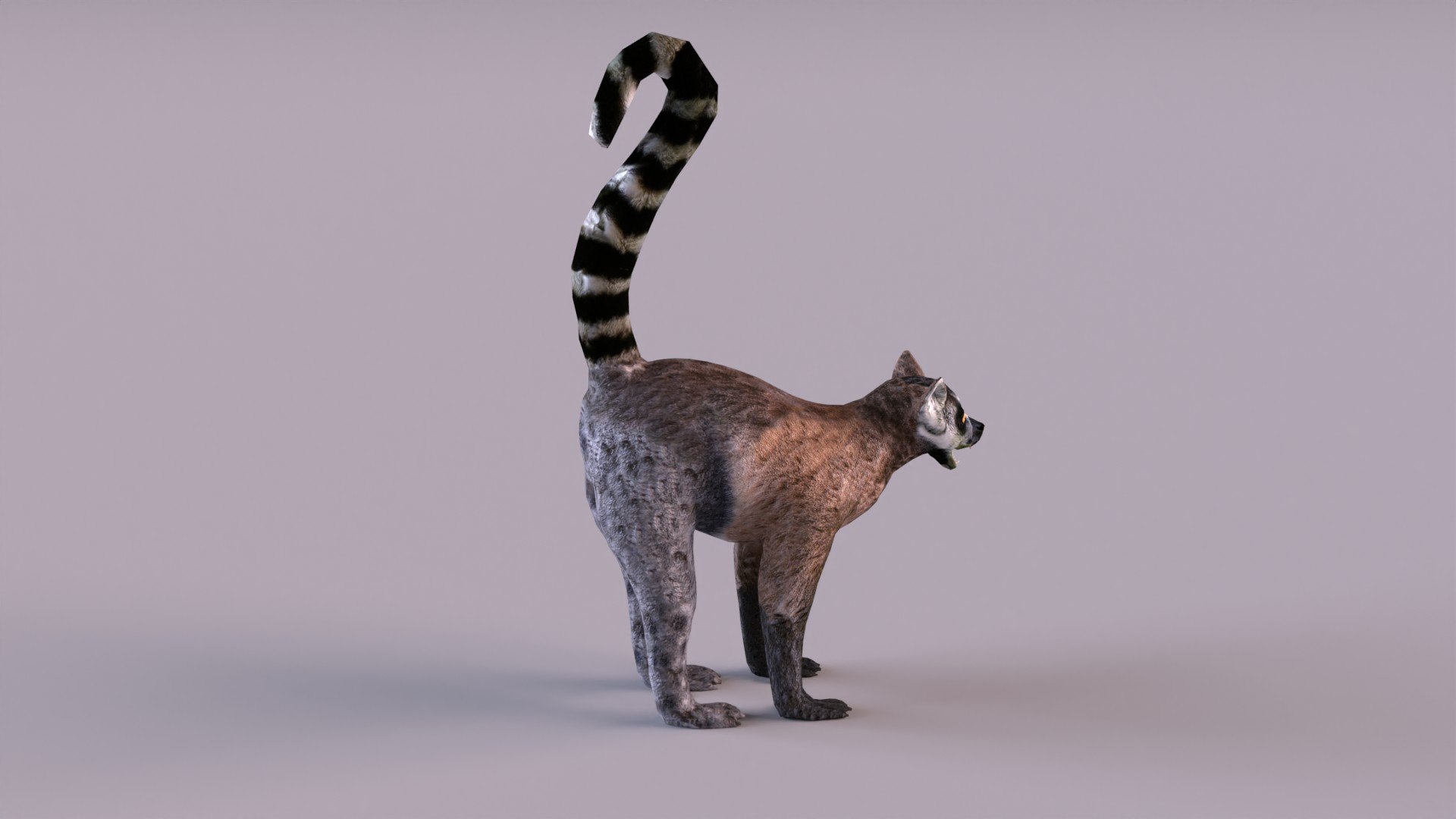 lemur monkey 3D model https://p.turbosquid.com/ts-thumb/C1/JQpLop/He/lemur_0003/jpg/1651329794/1920x1080/fit_q87/ad6d959e3d635a8d5ef981440b766a54b86ace2c/lemur_0003.jpg