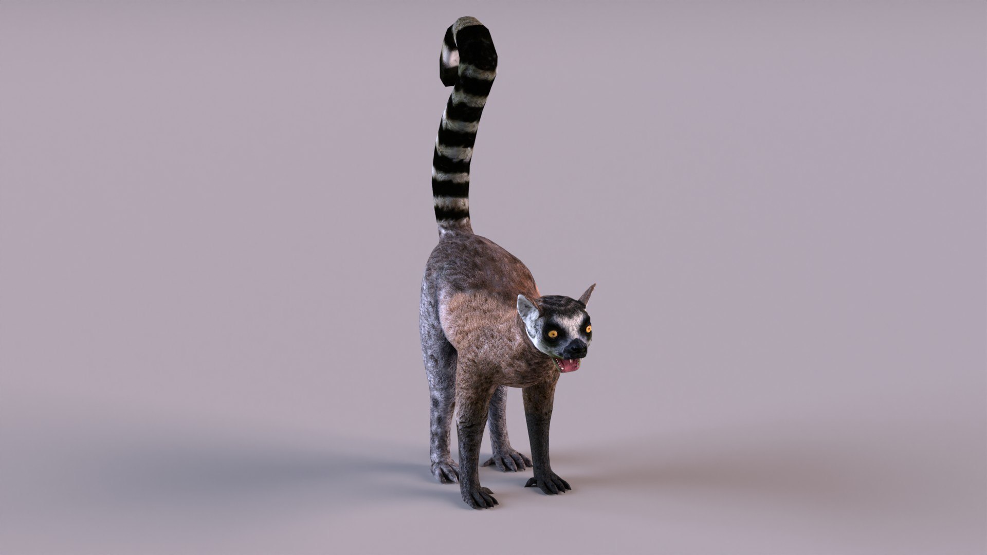 lemur monkey 3D model https://p.turbosquid.com/ts-thumb/C1/JQpLop/SE/lemur_0010/jpg/1651329790/1920x1080/fit_q87/eb0d079762d598e8c9c2c8aa006b63bd969cffec/lemur_0010.jpg