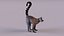 Lemur