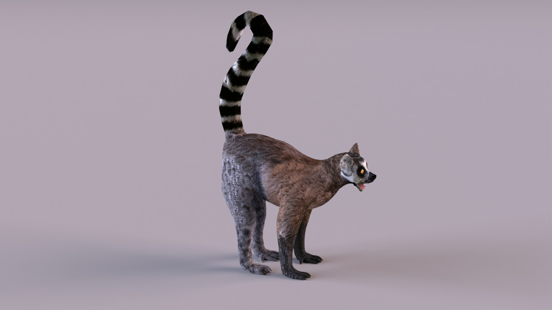 lemur monkey 3D model https://p.turbosquid.com/ts-thumb/C1/JQpLop/n2/lemur/jpg/1651329838/1920x1080/turn_fit_q99/884b09e6b7c70f6a5ccdcef77c5b42ad02654e42/lemur-1.jpg