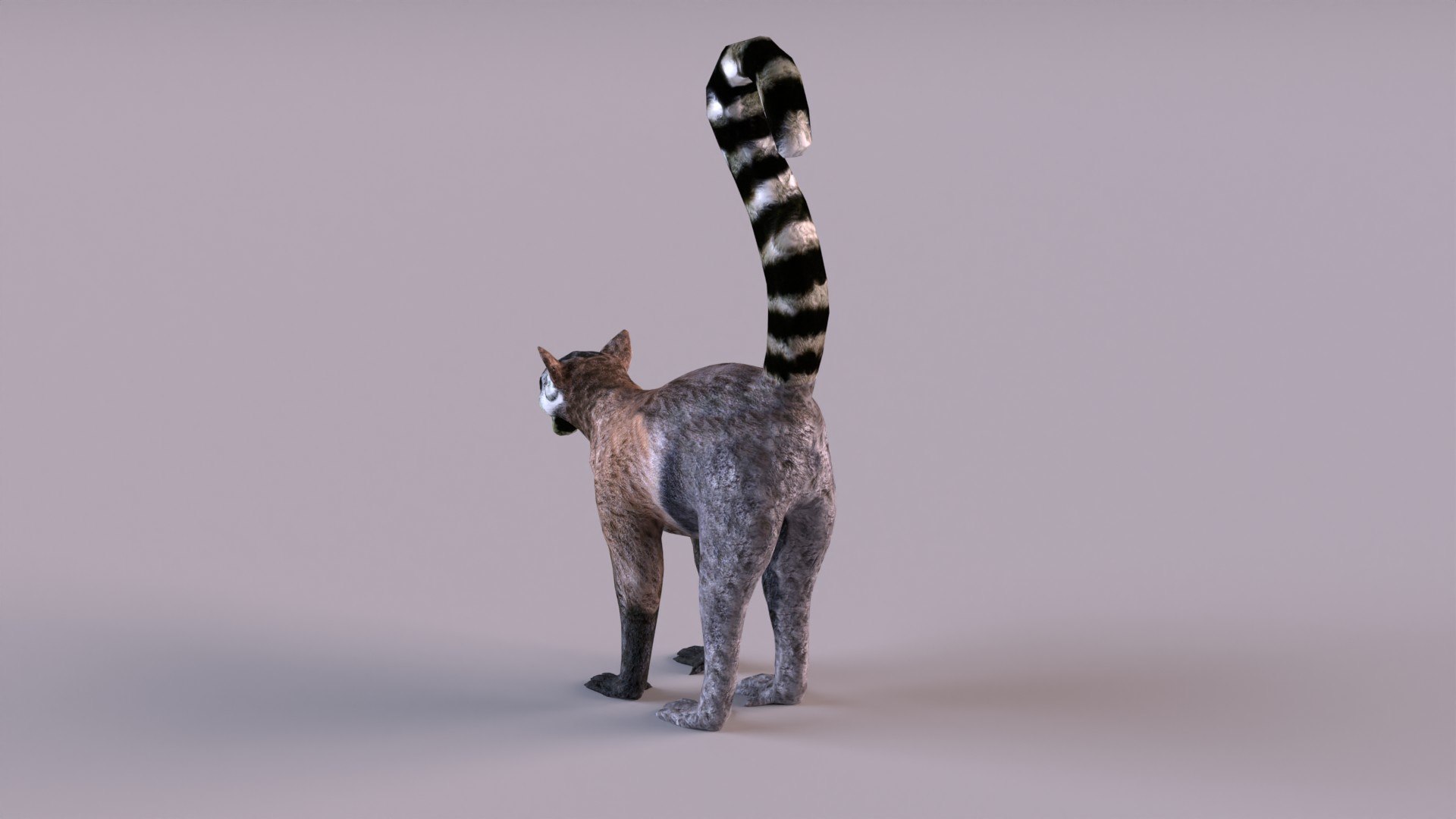 lemur monkey 3D model https://p.turbosquid.com/ts-thumb/C1/JQpLop/zJ/lemur_0006/jpg/1651329789/1920x1080/fit_q87/2d8c154937dc8e9652b21129c640a27833cb441b/lemur_0006.jpg