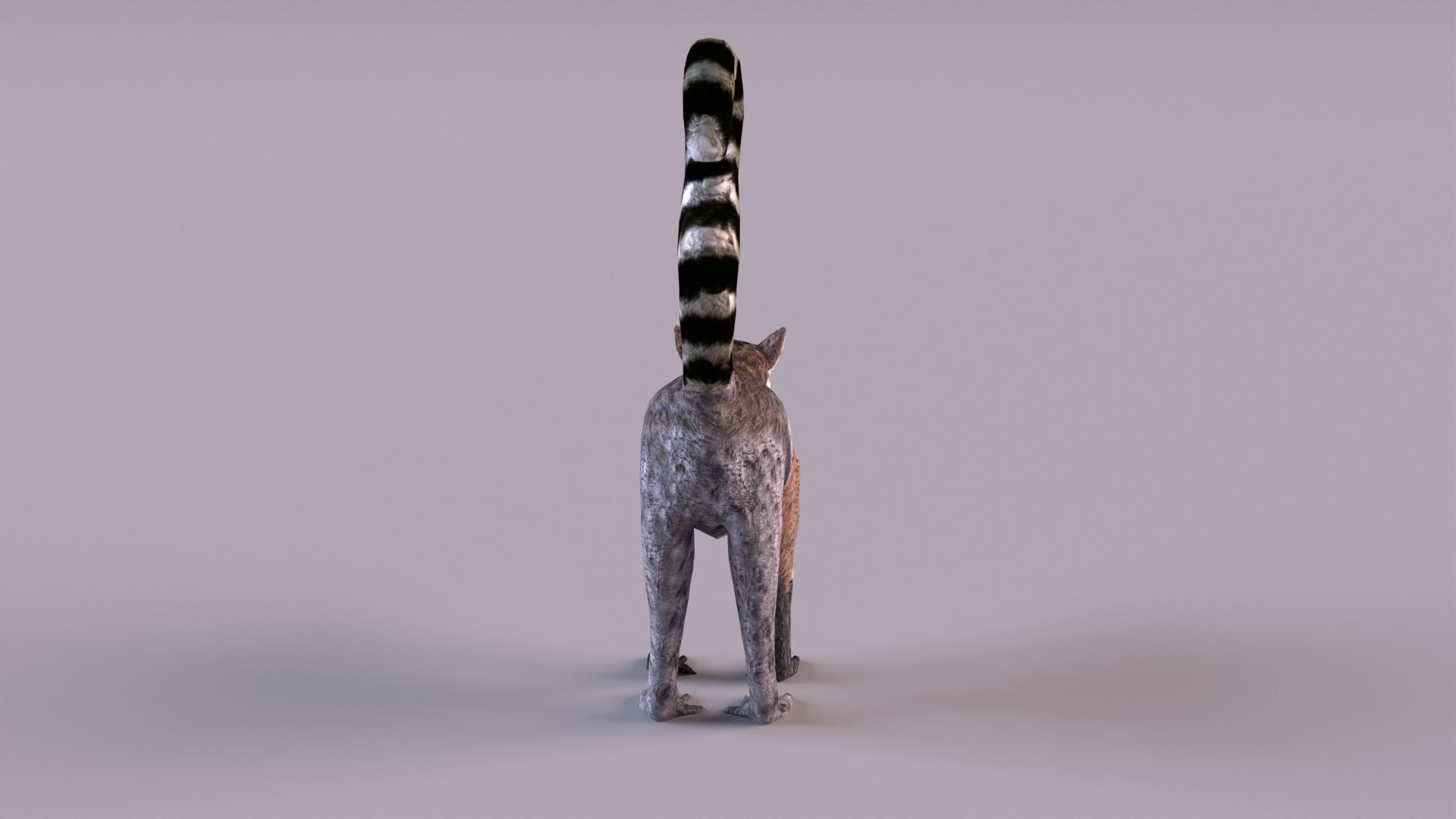 lemur monkey 3D model https://p.turbosquid.com/ts-thumb/C1/JQpLop/zM/lemur_0005/jpg/1651329788/1920x1080/fit_q87/491943acb15c3afe1a6884e5bfc3a94c0891fa5e/lemur_0005.jpg