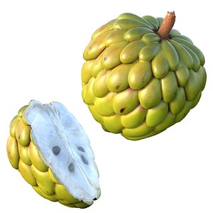 Sugar apple cherimoya fruit 3D model
