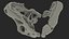 3D t rex skull fossil model