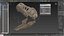 3D t rex skull fossil model