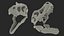 3D t rex skull fossil model