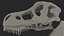 3D t rex skull fossil model