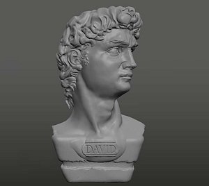 Head David Michelangelo