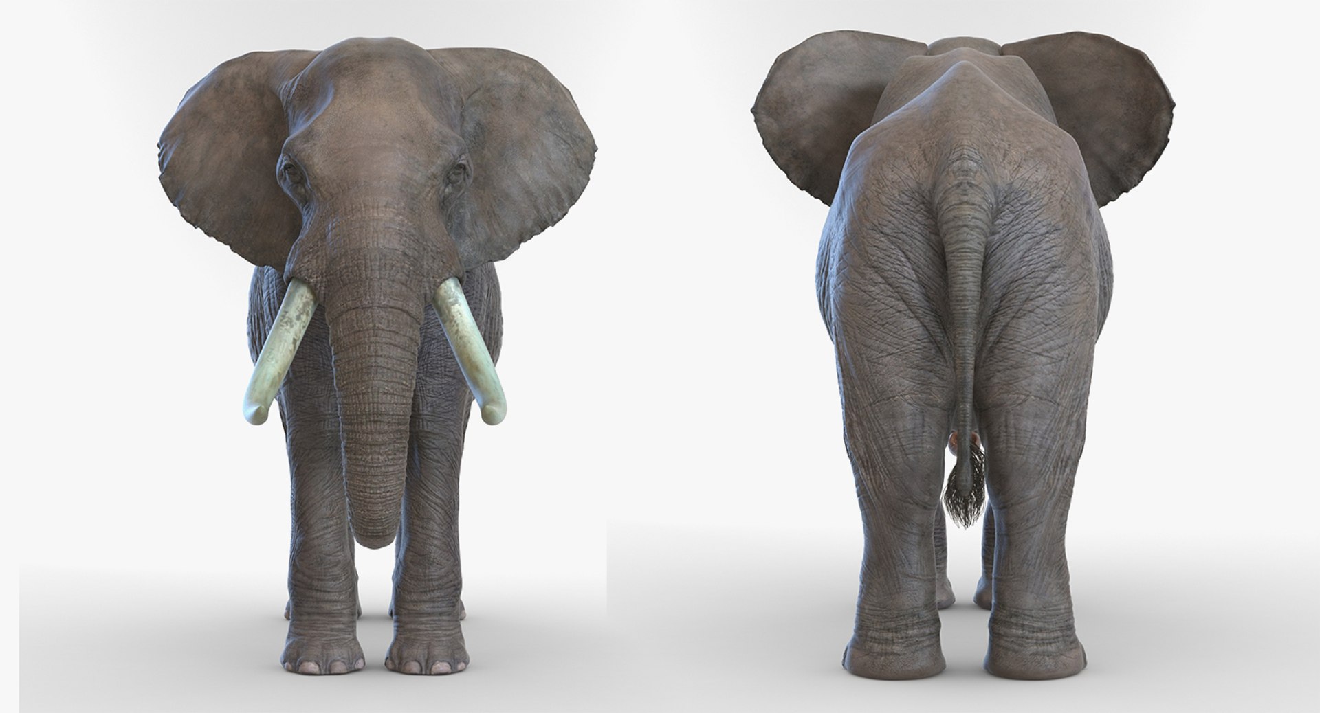 3D african animals rigged 2 https://p.turbosquid.com/ts-thumb/C1/p7PfBi/1paXxu7Q/riggedafricananimalscollection2vray3dmodel033/jpg/1536152943/1920x1080/fit_q87/865aa8b84258935e71326a02834a850d577209cd/riggedafricananimalscollection2vray3dmodel033.jpg