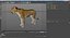 African Animals Rigged Collection 2 dla Cinema 4D