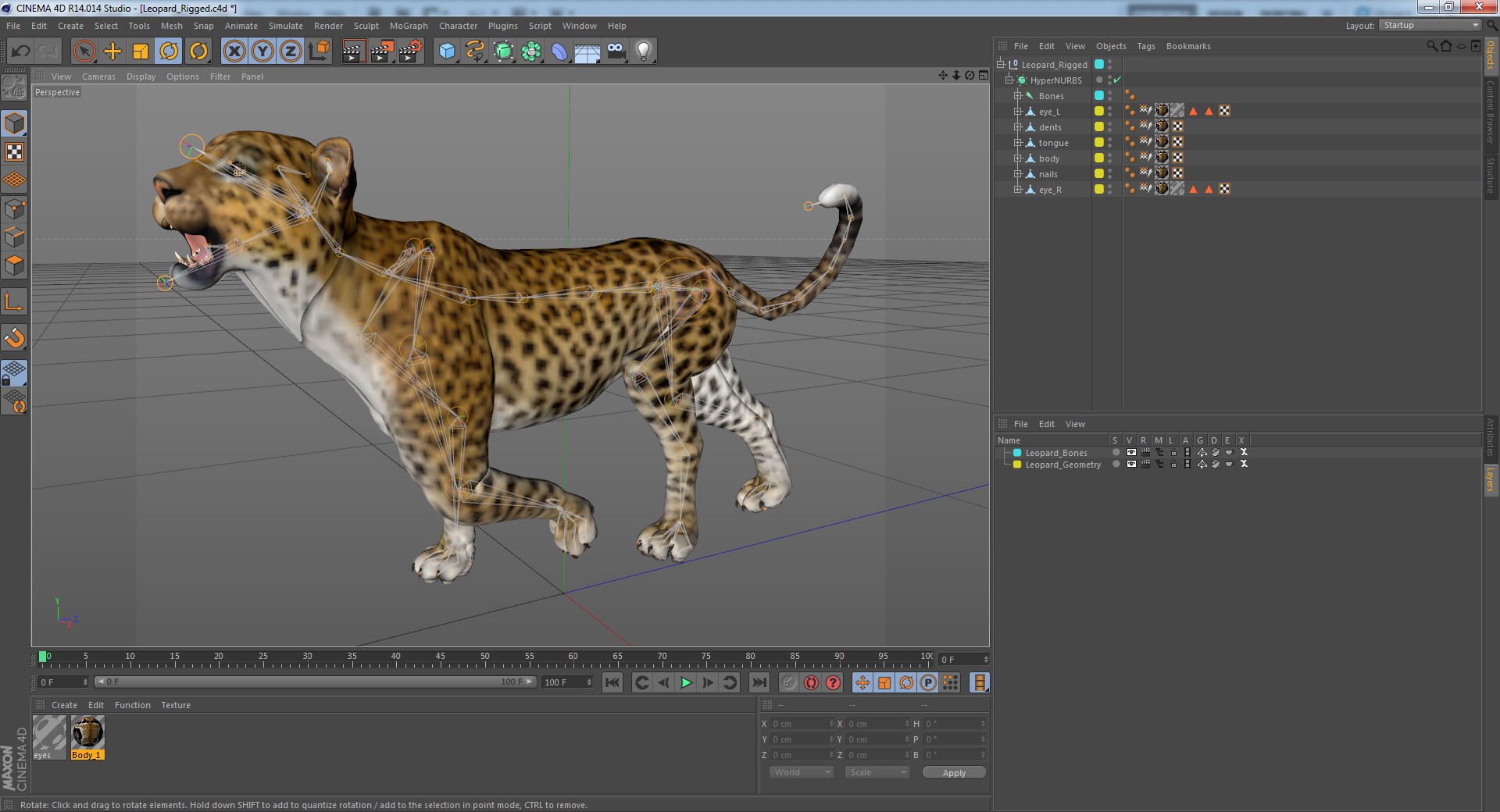 3D african animals rigged 2 https://p.turbosquid.com/ts-thumb/C1/p7PfBi/9hKLF0at/leopard_rigged_c4d3/jpg/1582871719/1920x1080/fit_q87/be5cab0bdc01d4b6752be371ea9dd21ff82b5ae9/leopard_rigged_c4d3.jpg