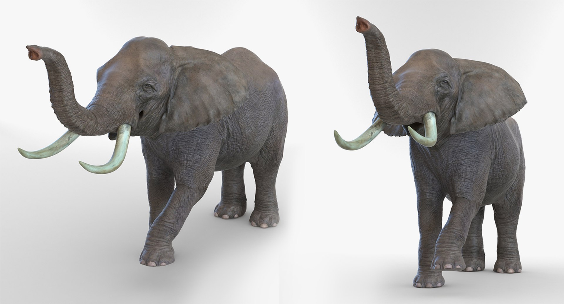 3D african animals rigged 2 https://p.turbosquid.com/ts-thumb/C1/p7PfBi/LZ8TIysr/riggedafricananimalscollection2vray3dmodel031/jpg/1536152943/1920x1080/fit_q87/cb395da13bc743c621ee8a9059777ef3328bf6ac/riggedafricananimalscollection2vray3dmodel031.jpg