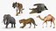 African Animals Rigged Collection 2 dla Cinema 4D