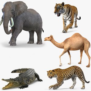 3D african animals rigged 2