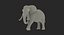 African Animals Rigged Collection 2 dla Cinema 4D