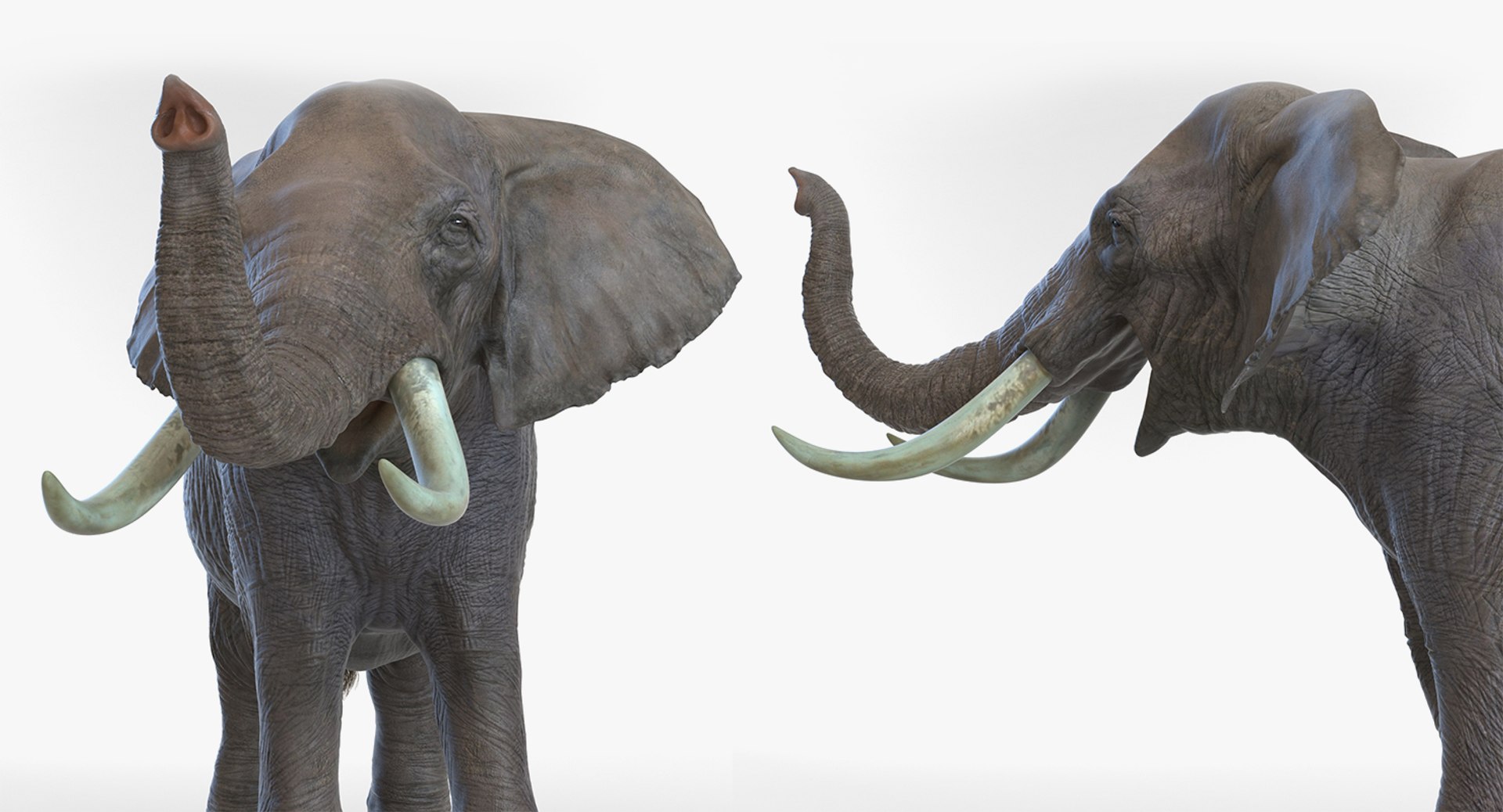 3D african animals rigged 2 https://p.turbosquid.com/ts-thumb/C1/p7PfBi/i34oQpwv/riggedafricananimalscollection2vray3dmodel030/jpg/1536152943/1920x1080/fit_q87/65b003f60f4f253f450ee171c1dcd4ed9b5a0ff4/riggedafricananimalscollection2vray3dmodel030.jpg