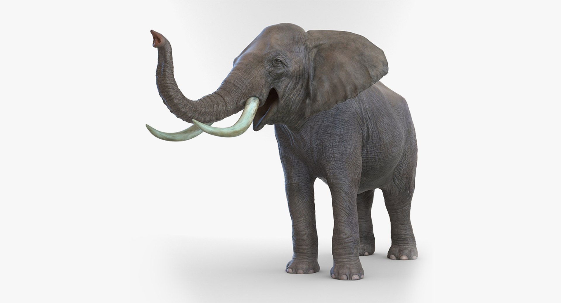 3D african animals rigged 2 https://p.turbosquid.com/ts-thumb/C1/p7PfBi/kgGzrt6D/riggedafricananimalscollection2vray3dmodel029/jpg/1536152943/1920x1080/fit_q87/0d9a6db30168fc4dd4ef067d403885a252a8c337/riggedafricananimalscollection2vray3dmodel029.jpg
