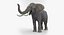 African Animals Rigged Collection 2 dla Cinema 4D
