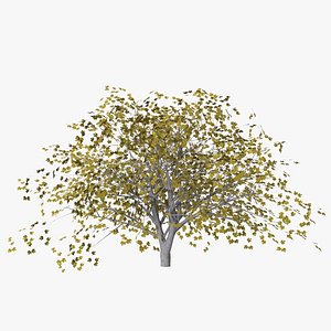 fig autumn low poly