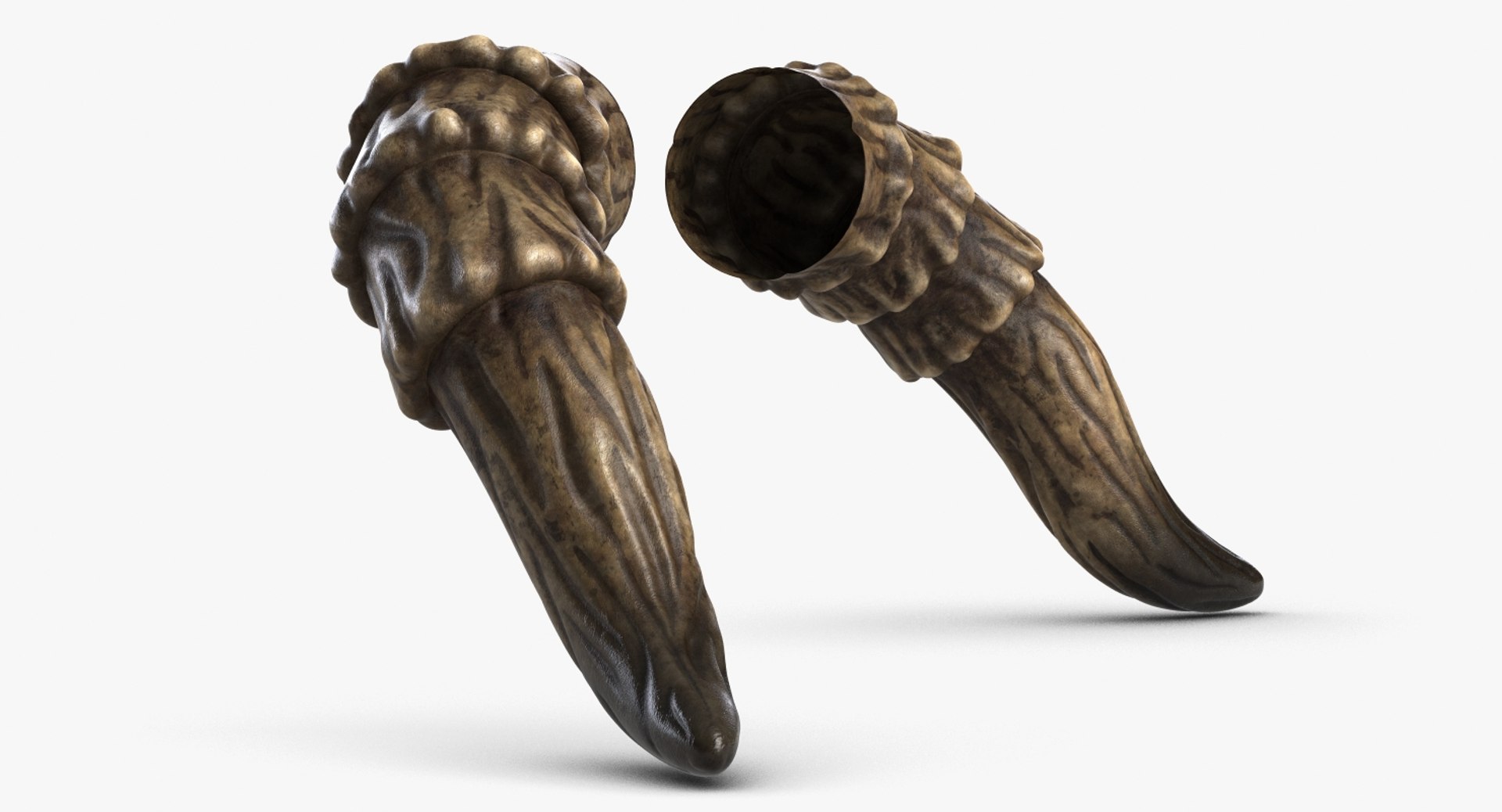 horn 3d model https://p.turbosquid.com/ts-thumb/C2/QuR7lI/ZakYKGTZ/camera001_beauty001/jpg/1449080369/1920x1080/fit_q87/6449113754d9484018012dd1665fbc96b96c5dff/camera001_beauty001.jpg