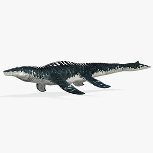 3D Mosasaurus Animated 3D Model