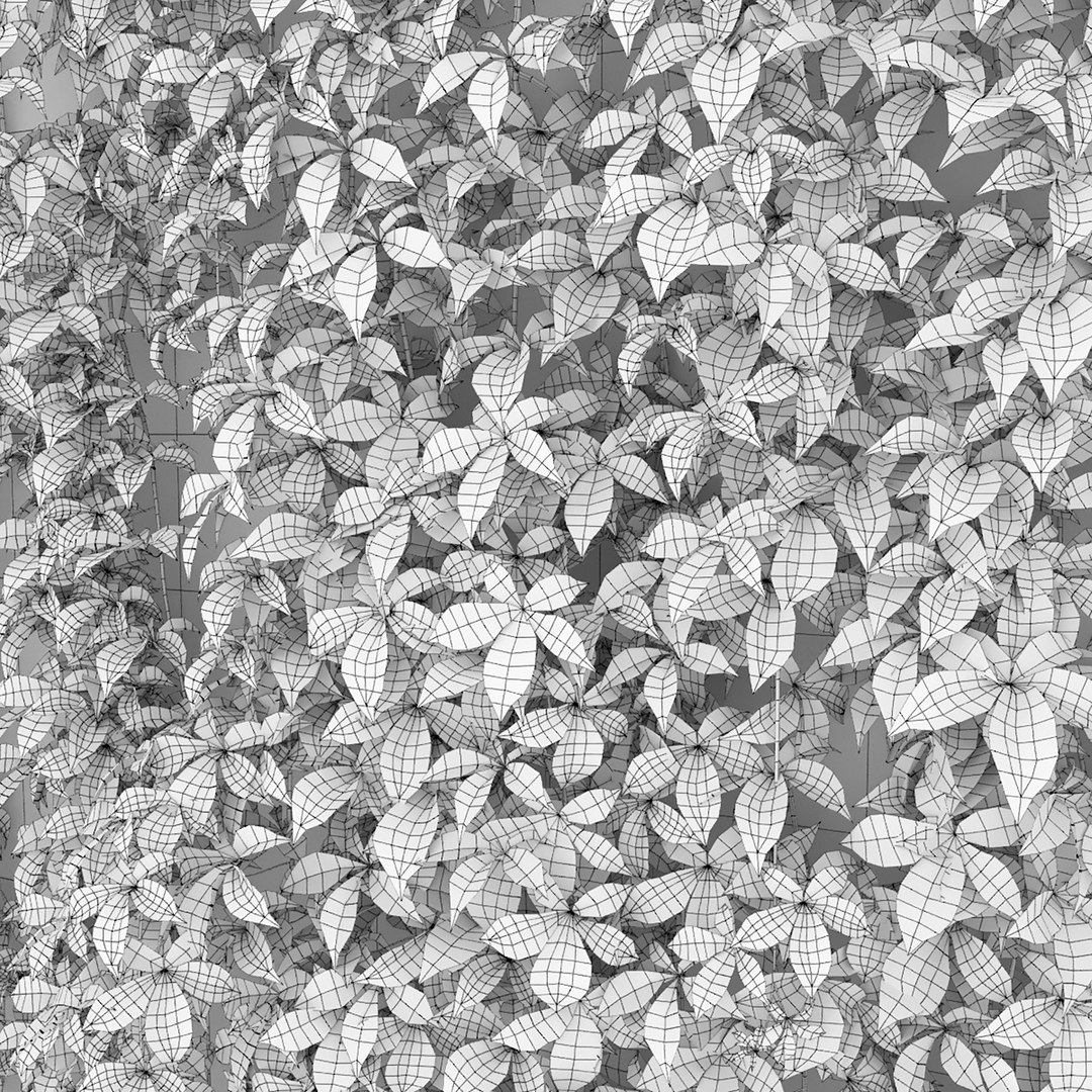Virginia Creeper 01 3D https://p.turbosquid.com/ts-thumb/C2/iSrI5X/BA/6/jpg/1638100238/1920x1080/fit_q87/c11d436ee1fbdae42aeaa0ed2be5c87abf8abe15/6.jpg