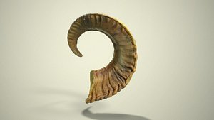 Goat Skull - Left Horn 3D model