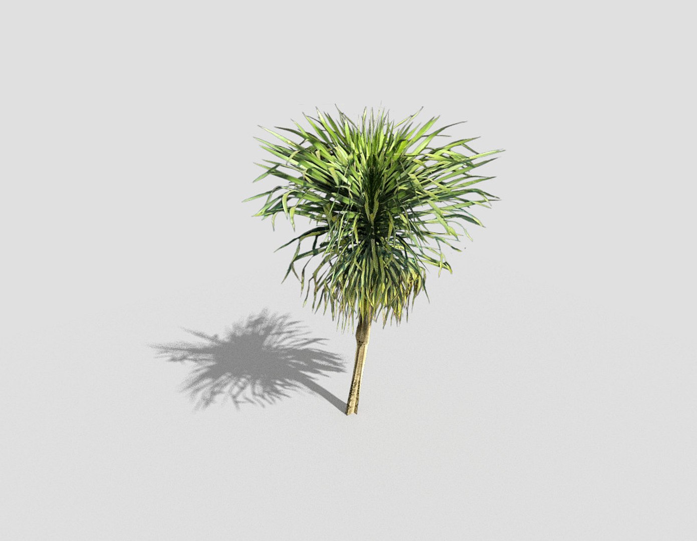 tree tropical 3d 3ds