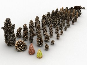 3D mega conifer cone pack model