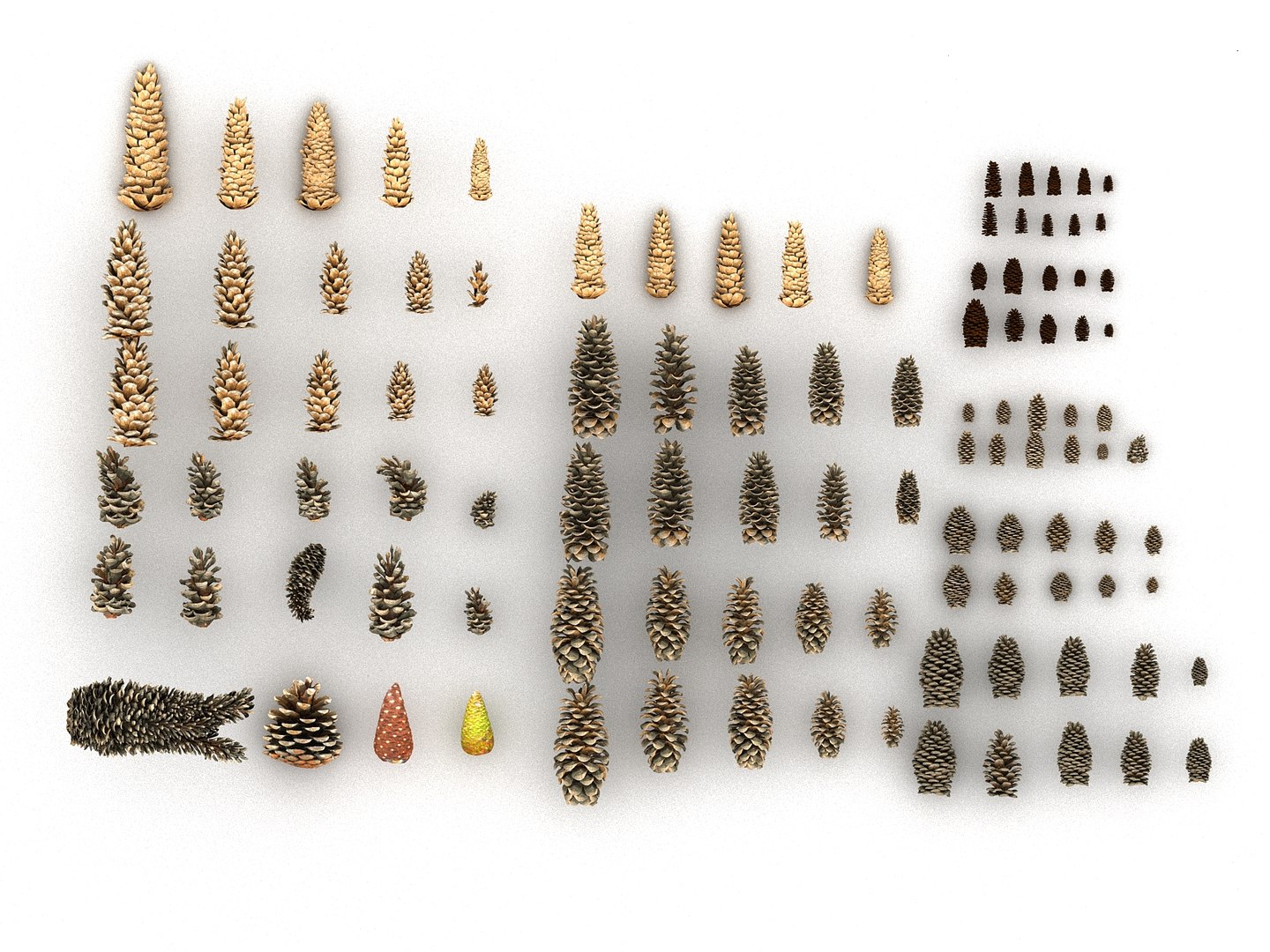 3D mega conifer cone pack model https://p.turbosquid.com/ts-thumb/C3/J7i6rg/4rYi0ybC/33456/jpg/1534776095/1920x1080/fit_q87/f066937511a8b221fc2aee2c714e774d554218f8/33456.jpg