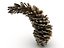 Conifer Cone Mega Pack 105