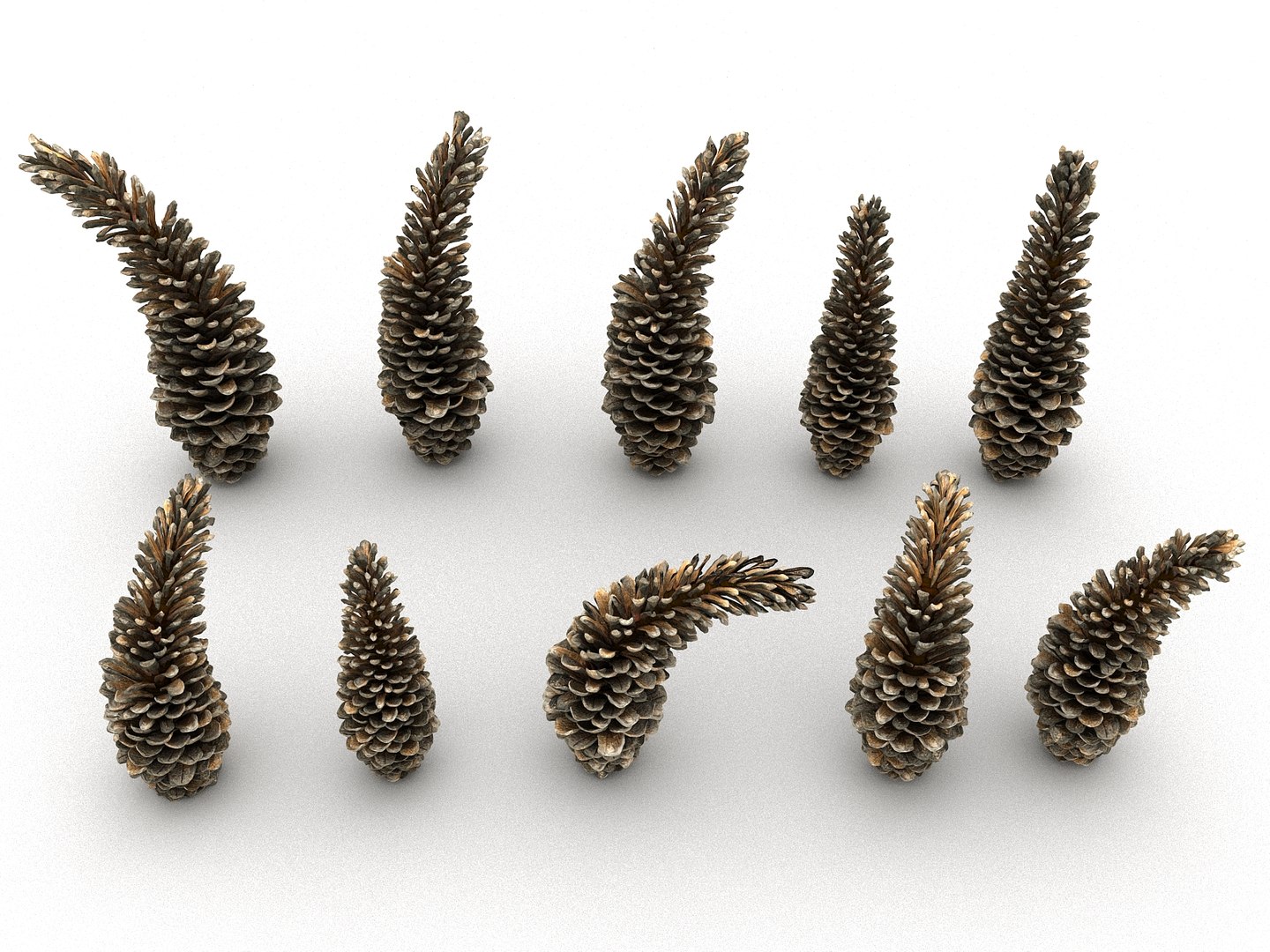 3D mega conifer cone pack model https://p.turbosquid.com/ts-thumb/C3/J7i6rg/9mjb6Krf/33445/jpg/1534776316/1920x1080/fit_q87/c12549dfd0fae6015e36f5a460c1bf2fe7ad2bab/33445.jpg