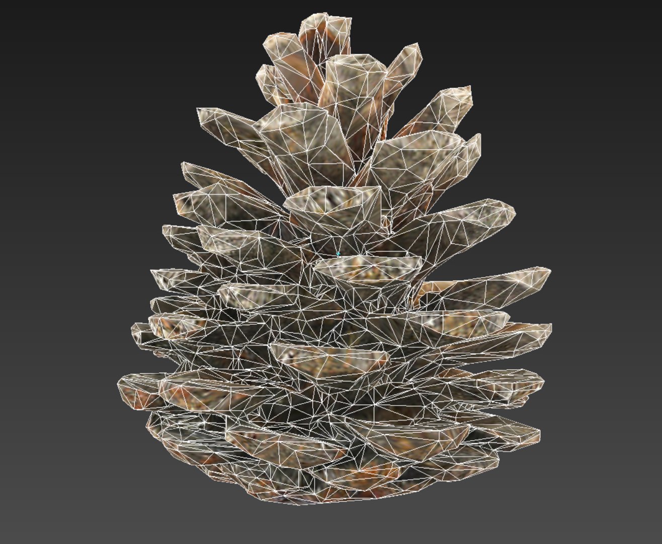 3D mega conifer cone pack model https://p.turbosquid.com/ts-thumb/C3/J7i6rg/A85IzqZF/77876887/jpg/1534776276/1920x1080/fit_q87/defd32e44b6c409cfd9e907c9cc8618306d4c73c/77876887.jpg