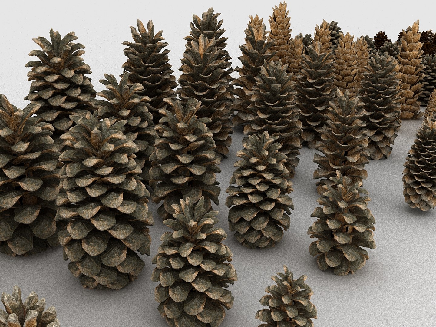 3D mega conifer cone pack model https://p.turbosquid.com/ts-thumb/C3/J7i6rg/D4TVkmAp/67767/jpg/1534776095/1920x1080/fit_q87/3726d02d0a577c69704f27b519817a8e407df2f8/67767.jpg