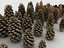 Conifer Cone Mega Pack 105