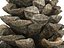 Conifer Cone Mega Pack 105